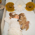Daisy Flow Kids Bed